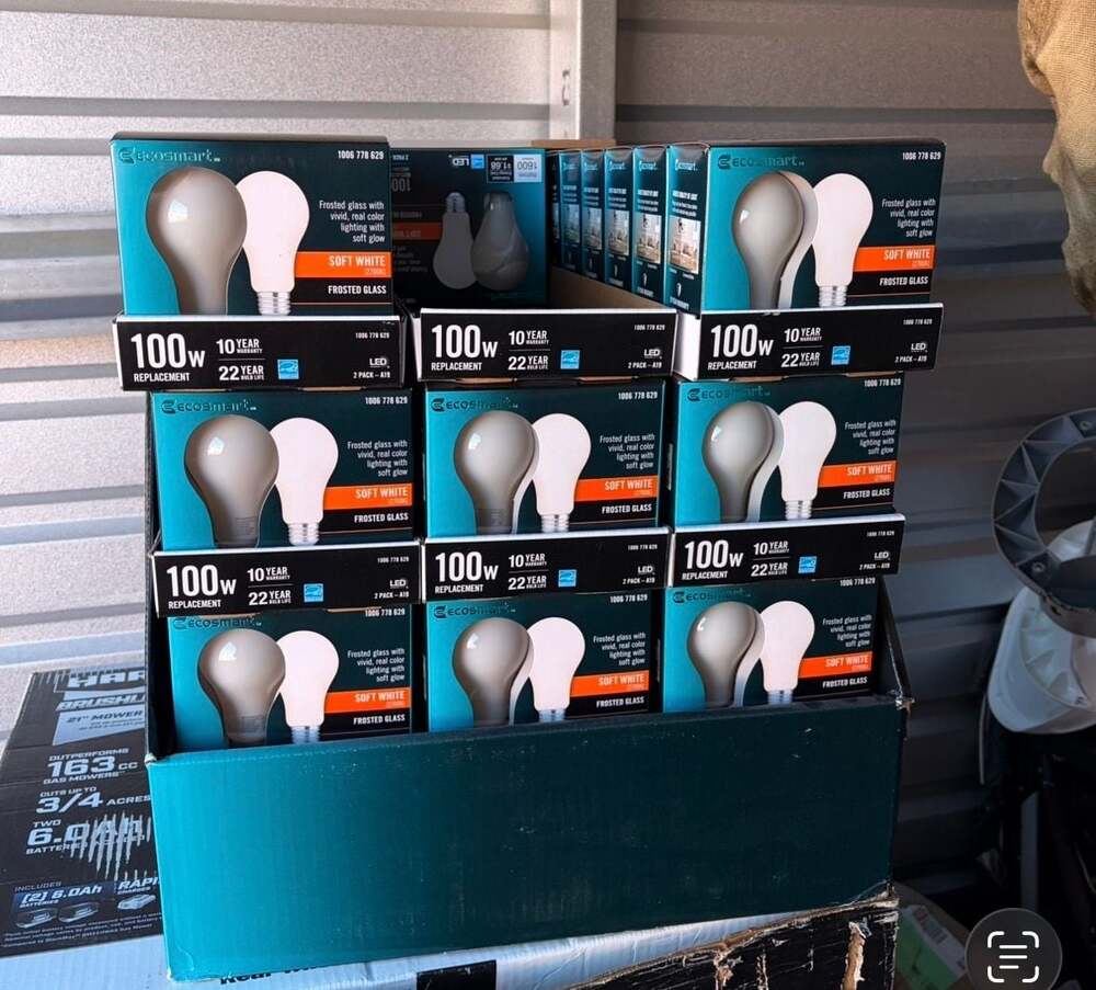 EcoSmart 100-Watt Equiv. A19 Dimmable Soft White LED Light Bulb (2-Pack)